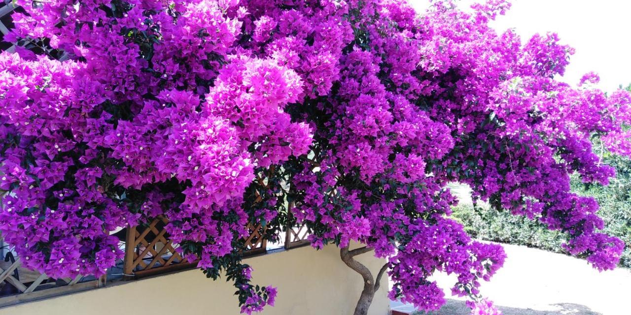 Miniera dellʼArgentiera B&B Calata Di Soli מראה חיצוני תמונה